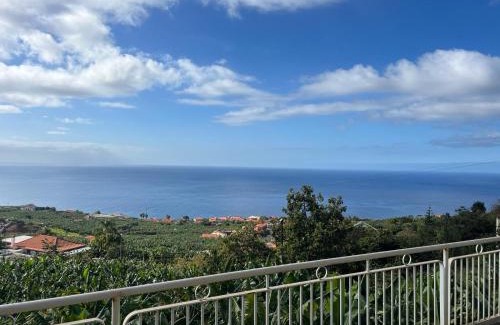 Arco da Calheta House | Spring House AL