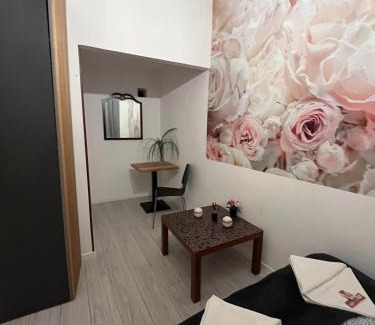 Inner City Budapest Apartment | Spring Roses Downtown Boutique Hotel ON THE FAMOUS VÁCI FASHION STREET FREE COFFEE, TEE