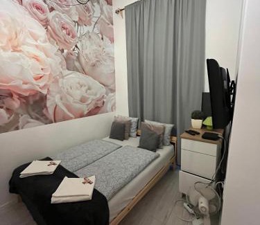 Inner City Budapest Apartment | Spring Roses Downtown Boutique Hotel ON THE FAMOUS VÁCI FASHION STREET FREE COFFEE, TEE
