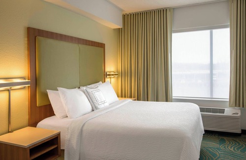 Paw Creek Hotel | SpringHill Suites by Marriott Charlotte Airport