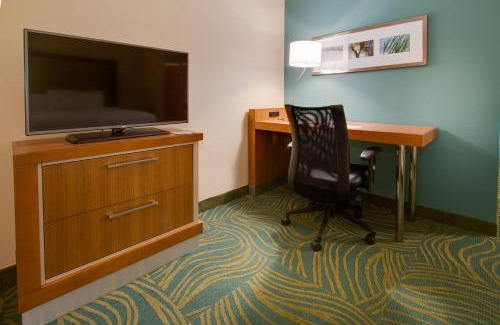 Kissimmee Hotel | SpringHill Suites by Marriott Orlando Lake Buena Vista South