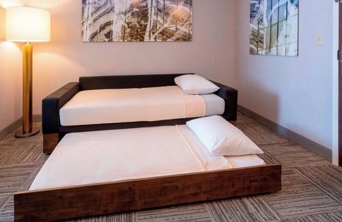Rochester Hotel | SpringHill Suites by Marriott Rochester-Mayo Clinic/St Marys