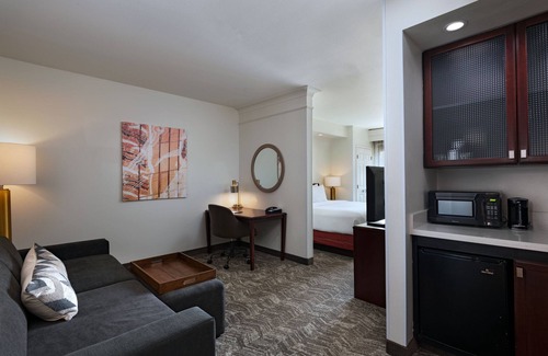 Las Colinas Hotel | SpringHill Suites by Marriott DFW Airport East/Las Colinas