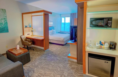 Macon Hotel | SpringHill Suites by Marriott Macon