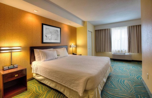 Tampa Hotel | Springhill Suites by Marriott Tampa Brandon