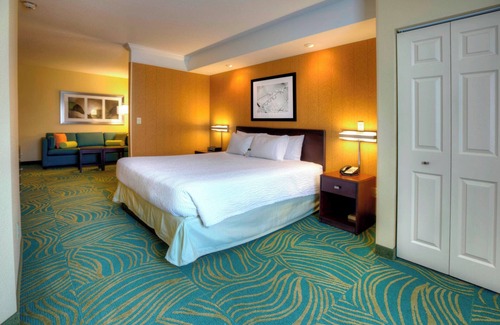 Tampa Hotel | Springhill Suites by Marriott Tampa Brandon