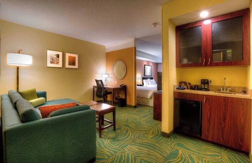 Tampa Hotel | Springhill Suites by Marriott Tampa Brandon