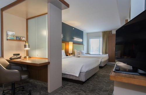 The Vista Hotel | SpringHill Suites Columbia Downtown The Vista
