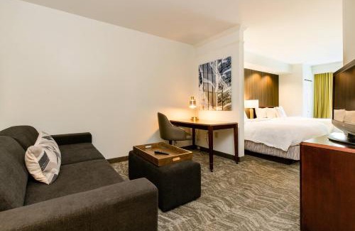 Florence Hotel | SpringHill Suites Florence
