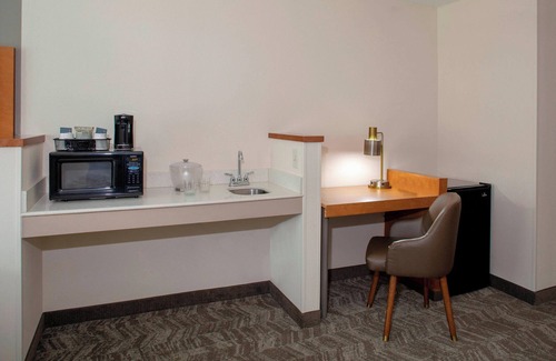 Ellendale Hotel | Springhill Suites Memphis East/Galleria