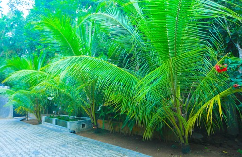 Kathaluwa Apartment | Sri Lankan Villa