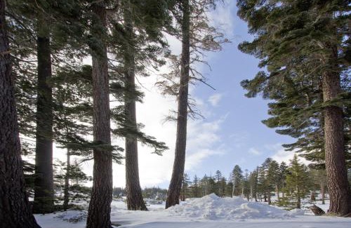 Mammoth Lakes Apartment | St Anton Condos with Rec Center