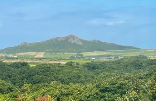 St Davids Bed & Breakfast | St Davids Art House