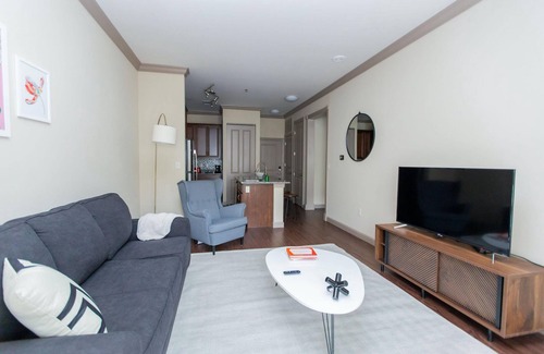 Central West End Apartment | St Louis Stunning 1BD 1BA Central West End Apartment