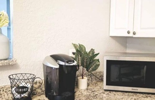 Historic Old Northeast Apartment | St Pete 3 minutes to Pier!n