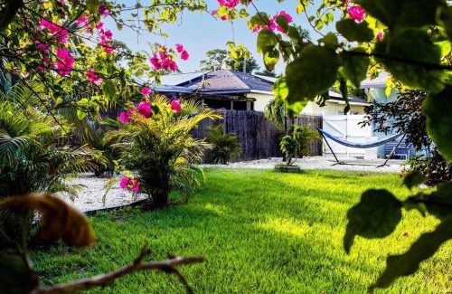 St. Petersburg - Clearwater House | St Pete beach house backyard Jungle Oasis!