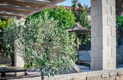 Afytos Hotel | Stamos Hotel