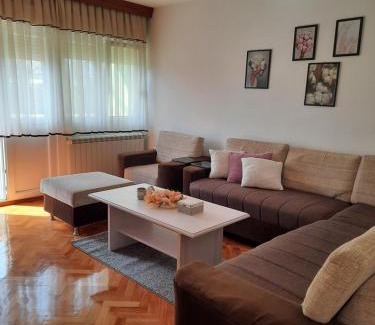 Vrsac Apartment | Stan na dan DUNJA 1