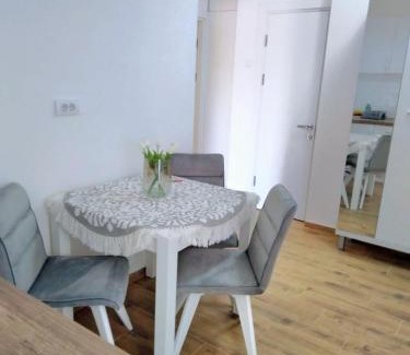 Vrsac Apartment | Stan na dan Ilvento 2