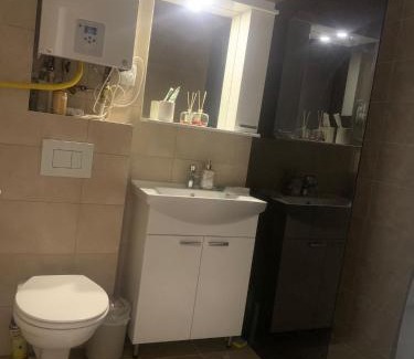 Mladenovac Apartment | Stan na dan M