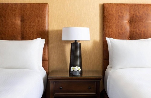 Crested Butte Hotel | Standard Double Queen, 2 Spacious Rooms | Pet-Friendly - Elevation Hotel