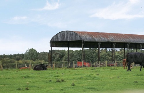 Wing Cabin | STANEGATE, pet friendly, with a garden in Brampton, Cumbria