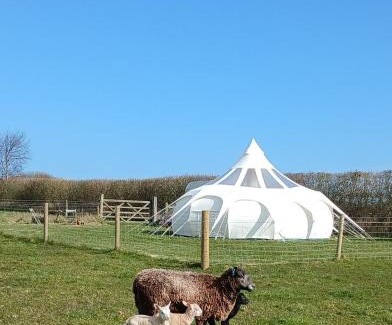 Cromer Other | Stargazer Bell Tent