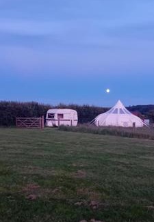 Cromer Other | Stargazer Bell Tent
