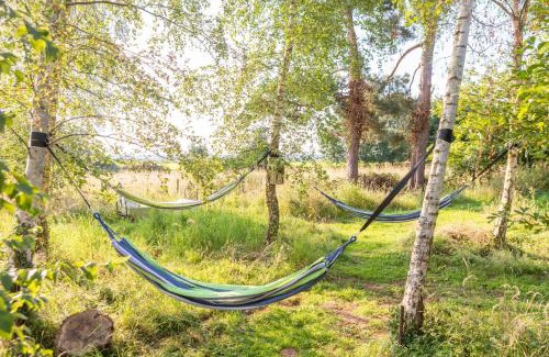 Bromsash Other | Stargazer Glamping UK Orion 4-Person