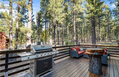Evergreen Estates Cabin | Starlight Summit