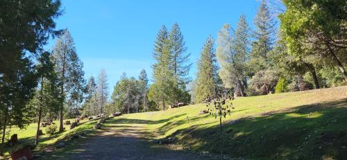 Mariposa House | Starlink Mariposa Yosemite mountain retreat