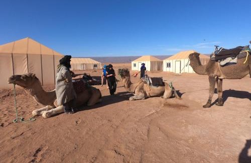 M'Hamid El Ghizlane Other | Starlit Desert Camp