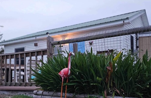 Eastpoint House | Starry Night Cottage Bayfront Pet Friendly Fenced Yard Sleeps 4
