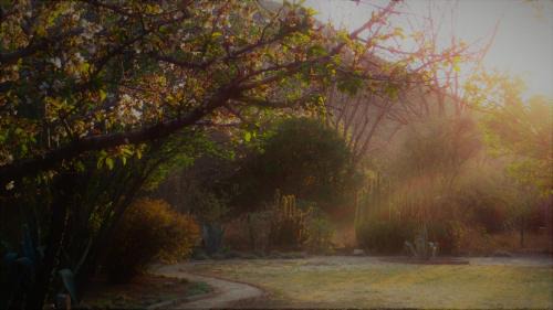 Nieu-Bethesda House | Starry Nights Guest House