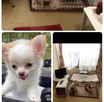 Hakodate Apartment | STAY Akeboshi Kan