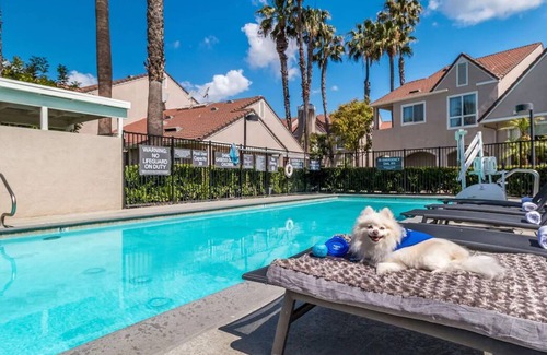 Downtown Village House | Stay Close to Newport Beach! w/ Pool, Fully Kitchens & Paws Welcome too!