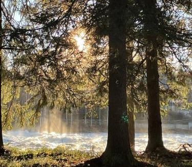 Vindeln Apartment | Stay in Skogmästarvillan Hear the roar of the Vindelälven river