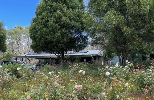 Sassafras Cabin | Stay on the escarpment, rural retreat, forest bathe, stargaze, amazing views
