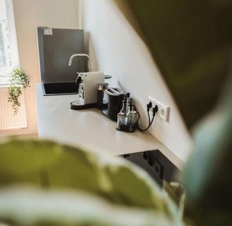 Celle Apartment | Staylight Apartment by the French Garden - 3 Bedrooms - Quiet & Central