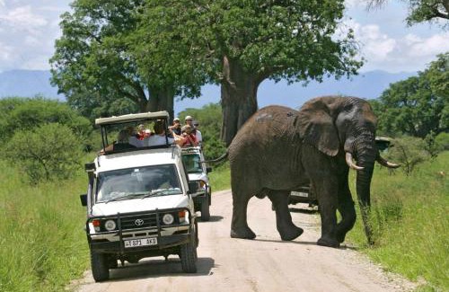 Karatu House | STC Domus Aurea Safaris