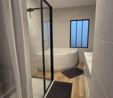 Villeneuve-sur-Lot Apartment | Stelina Altana - Exceptional penthouse and spa