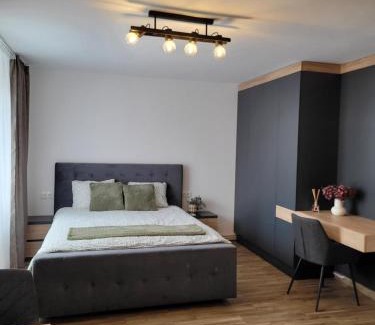 Tirgu Mures Apartment | Stella