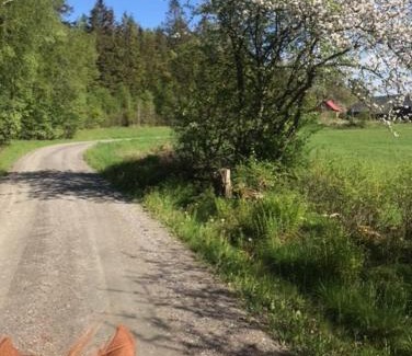 Veddige House | Stenlid - Med naturen och lugnet i fokus