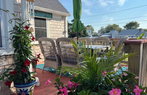 Dennis Port Cottage | STEPS TO SEA ST BEACH DENNISPORT NANTUCKET SOUND