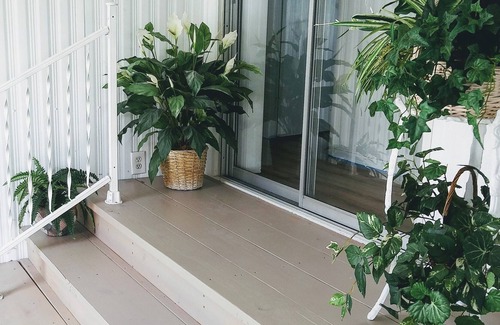 Ellenton House | Steps to the Manatee River