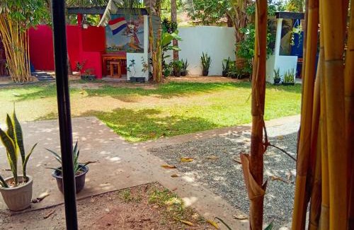 Ekala Bed & Breakfast | Steur Villa