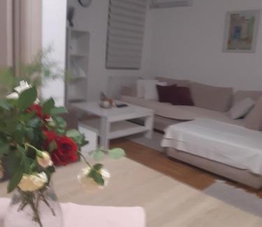 Smederevo Apartment | Stil Apartman