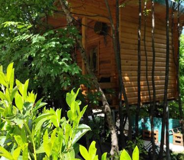 Donje Polje Ski Chalet | Still cabin