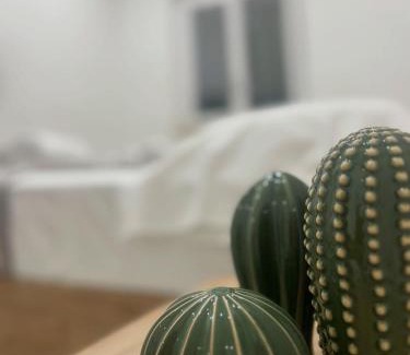 San Nicola Arcella House | STILL HOUSE