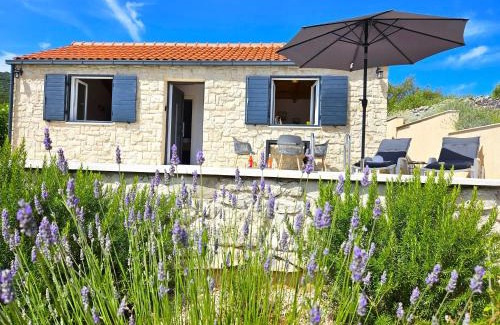 Kneza House | Stone house in vineyard